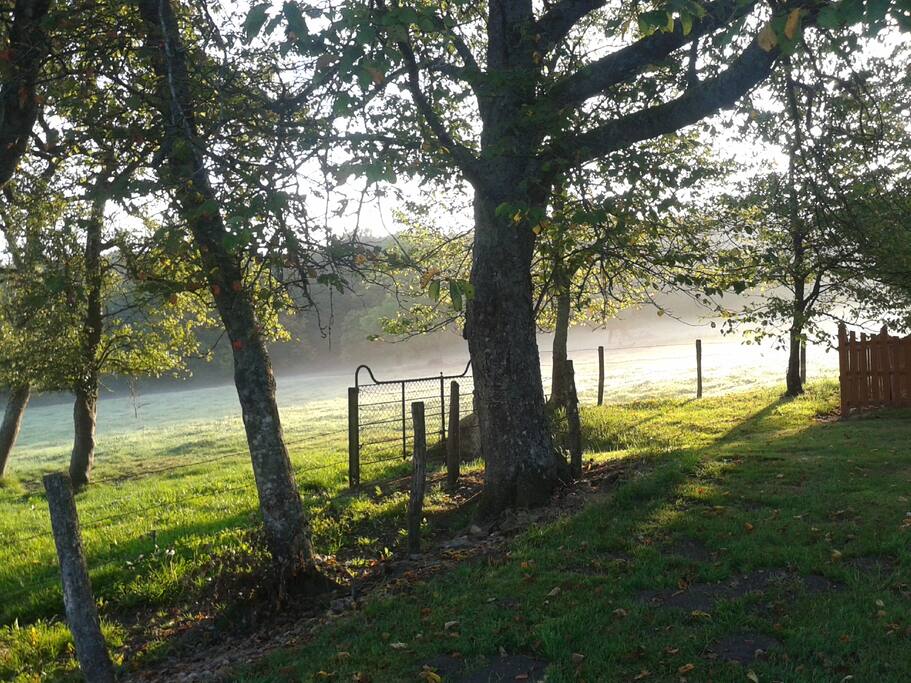 jagen en wandelen
