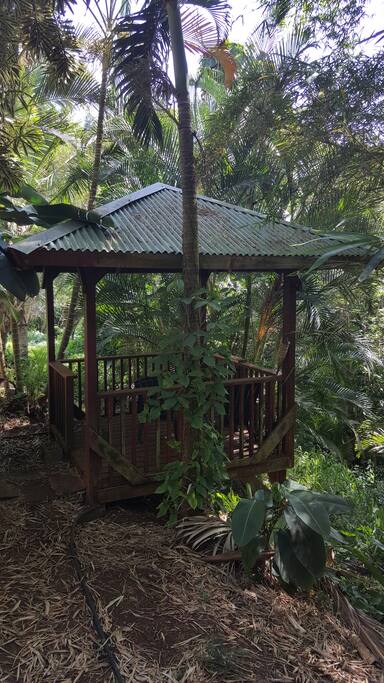 Gazebo in the Rain Forest