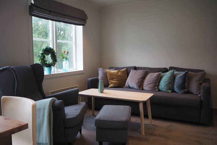 Medbroen farm, 7 min from Trd. Guardian Airport
