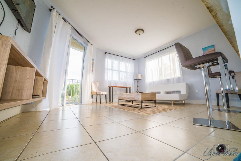 Living Room (Floor angle)