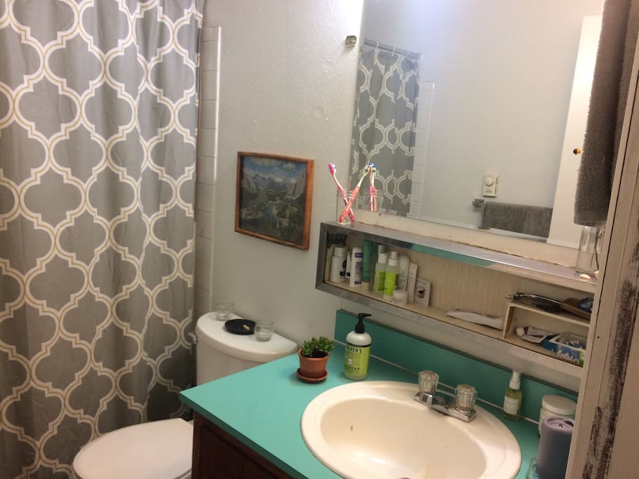 Bathroom - shower and tub