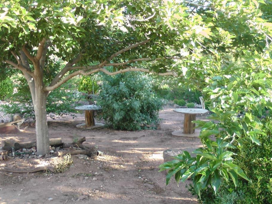 A relaxing shaded area to wander about or sit for a while in the lawn swing (not pictured).