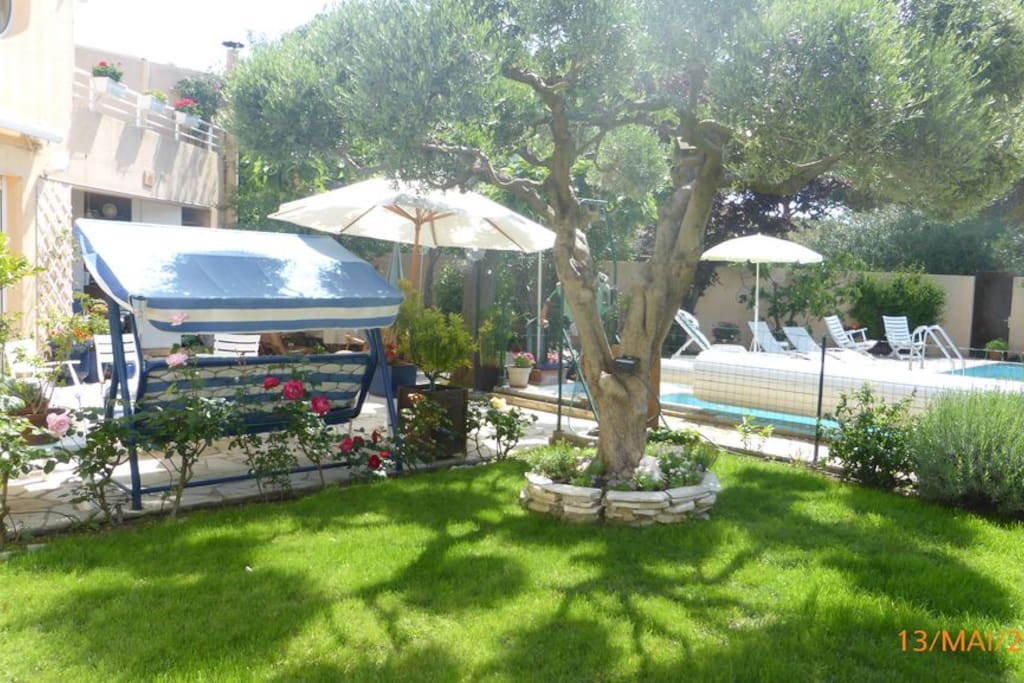 jardin arboré