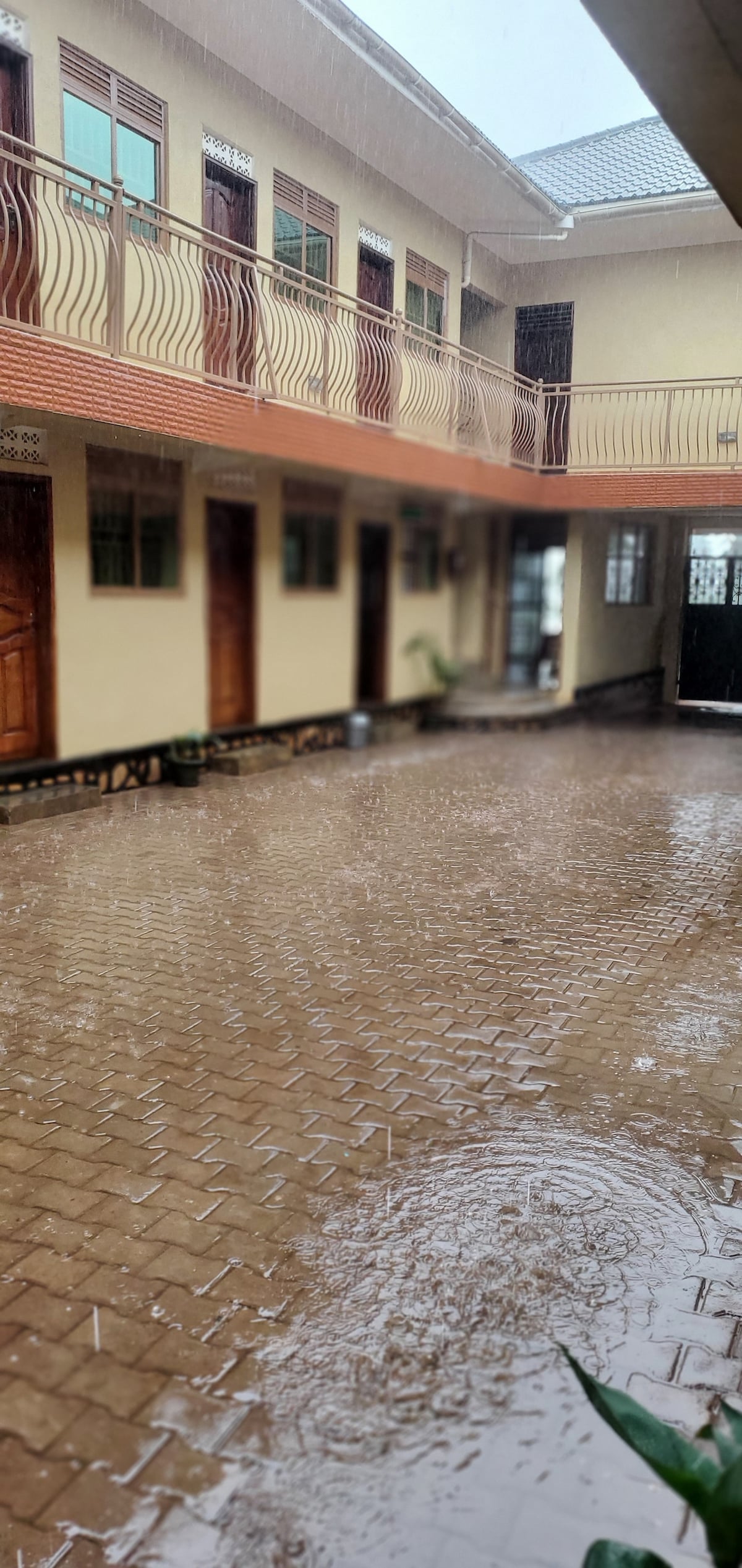 A view of the courtyard is captured, showcasing a tiled ground with water puddles from rainfall. Multiple wooden doors line the adjacent walls, framed by graceful railings on the upper level. Lush greenery is visible, contributing to a serene atmosphere.