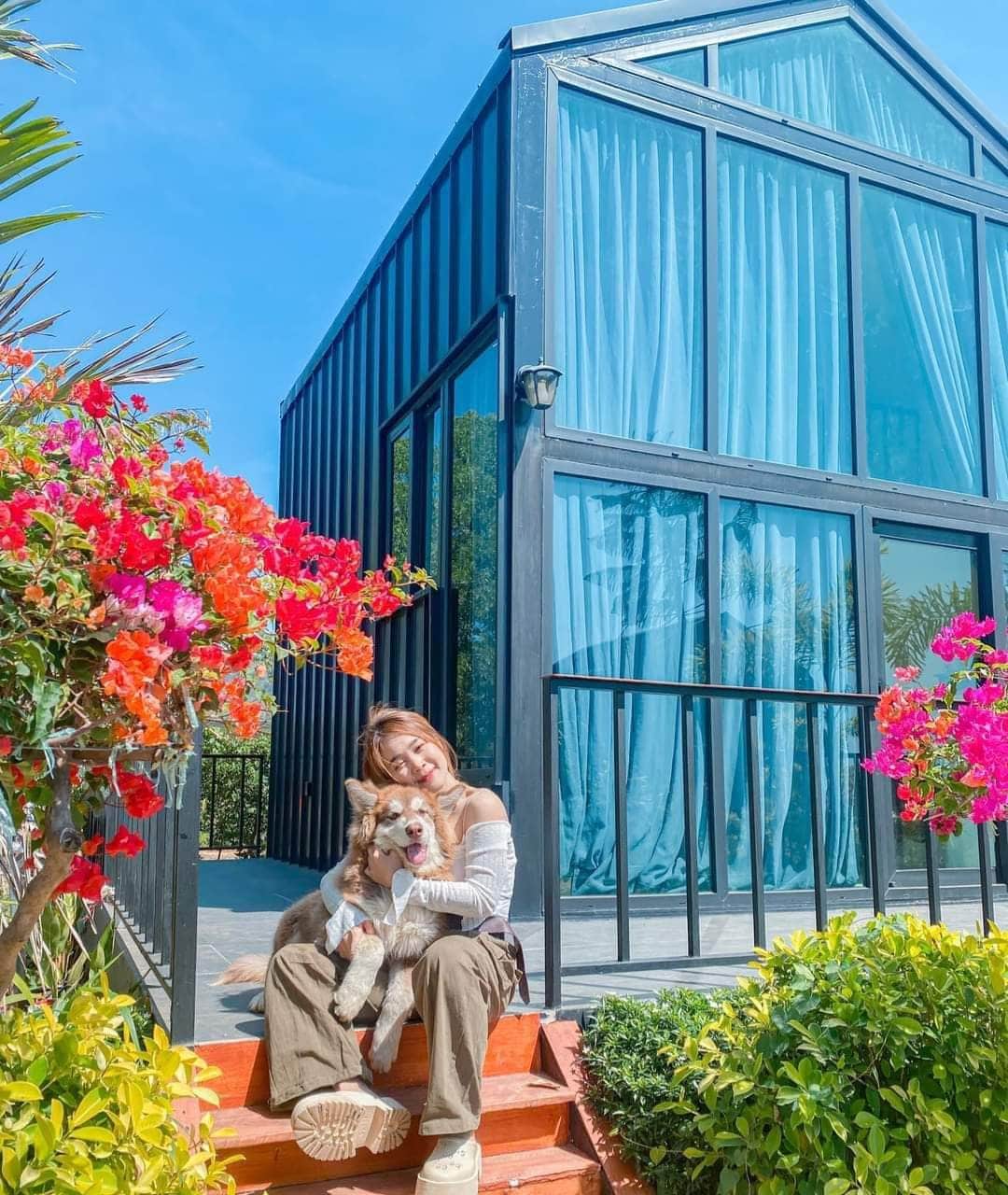 A modern two-story house with a glass facade features large blue curtains. Colorful flowers in vibrant red and yellow frame the entrance, where a person sits on stairs with a dog, enjoying the inviting outdoor space.