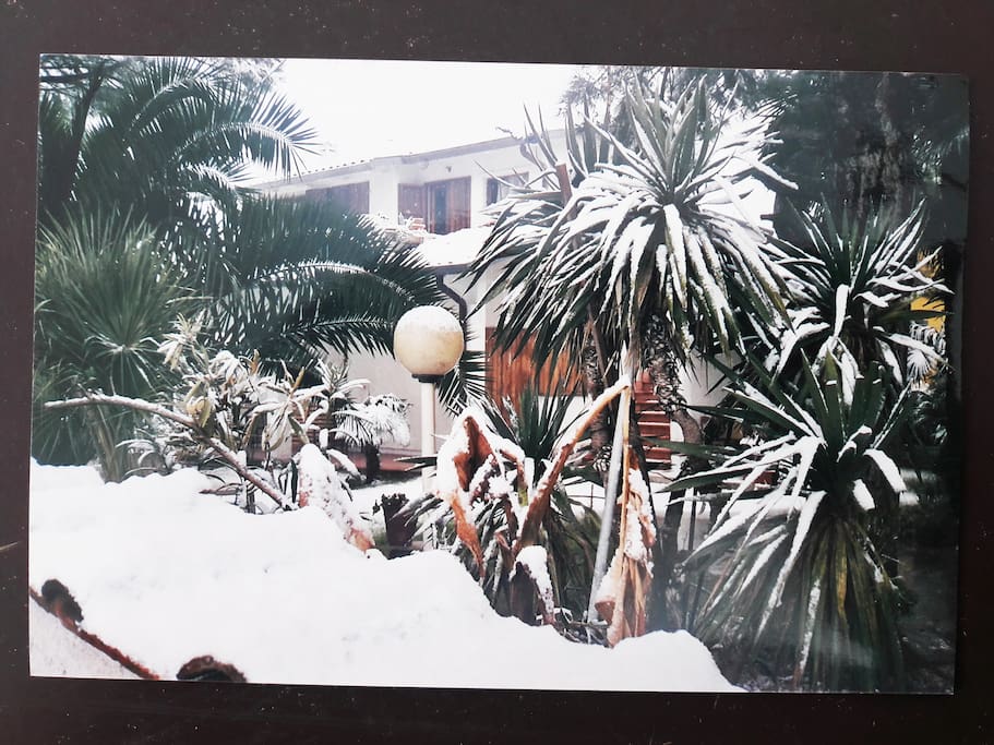 VISTA VILLAGE SOGNOCON GIARDINO NEVE 2018