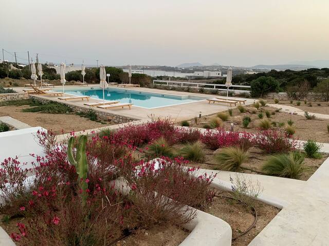 Sand Key Villa 2 gallery image 3