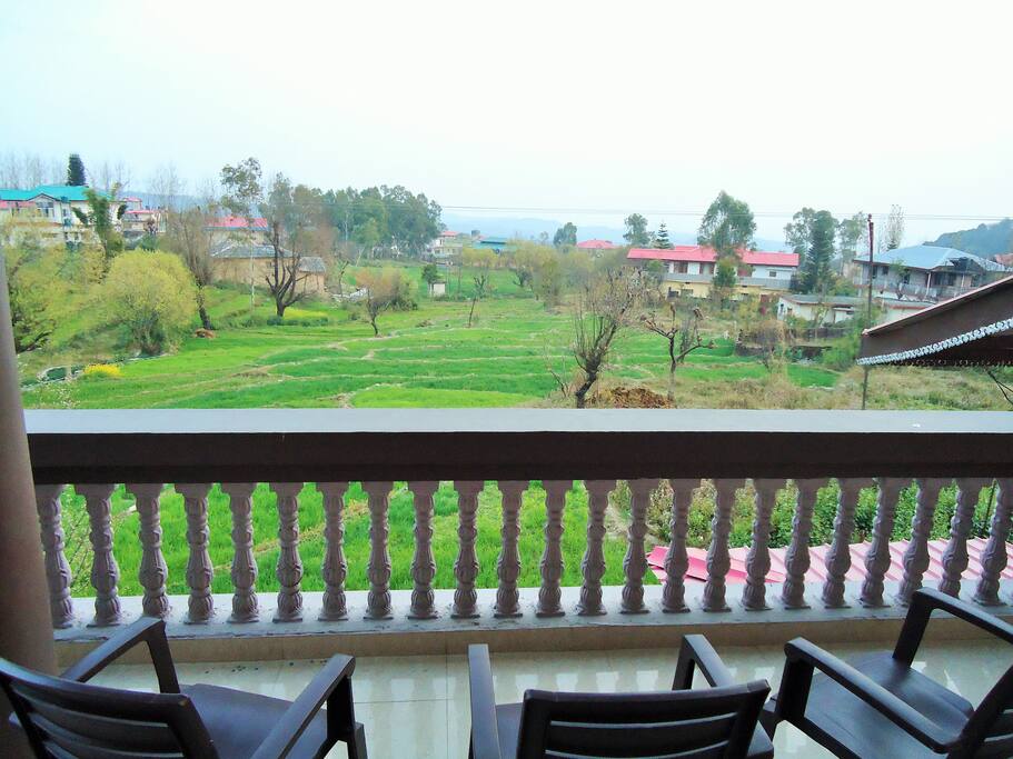 back view of green fields owned by local farmers.