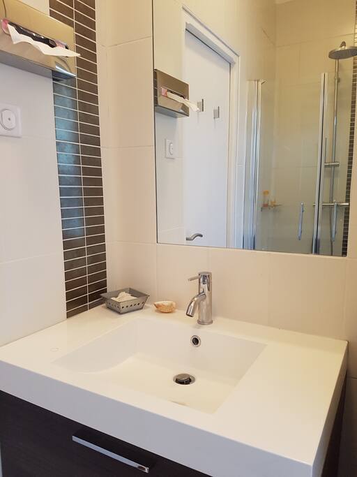 salle d'eau douche, wc à partager avec la propriétaire