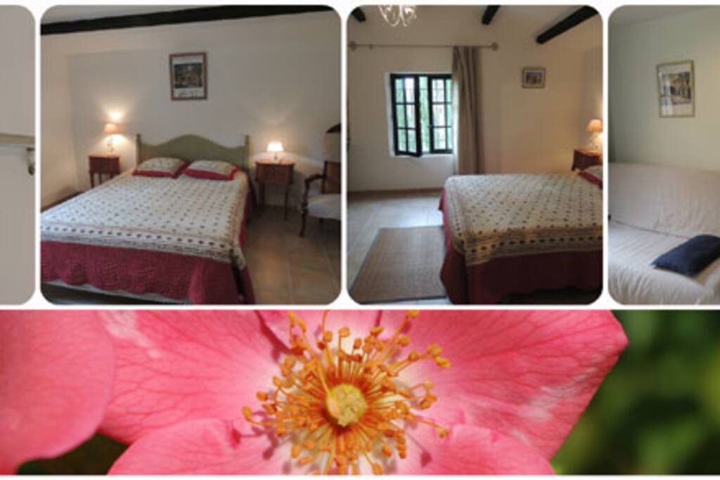Chambre spacieuse