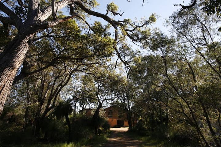 Wilderness By The Sea- Private bush retreat & SPA gallery image 3