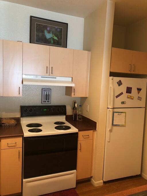 Stove and refrigerator