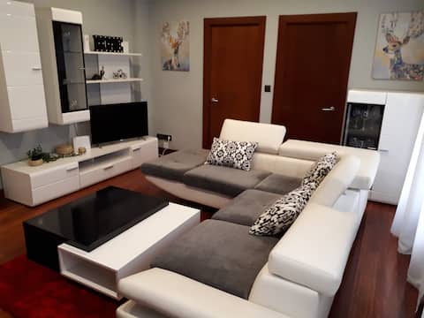 Successful Airbnb property: MODERN APARTMENT CASCO VIEJO, FREE PARKING in Euskadi