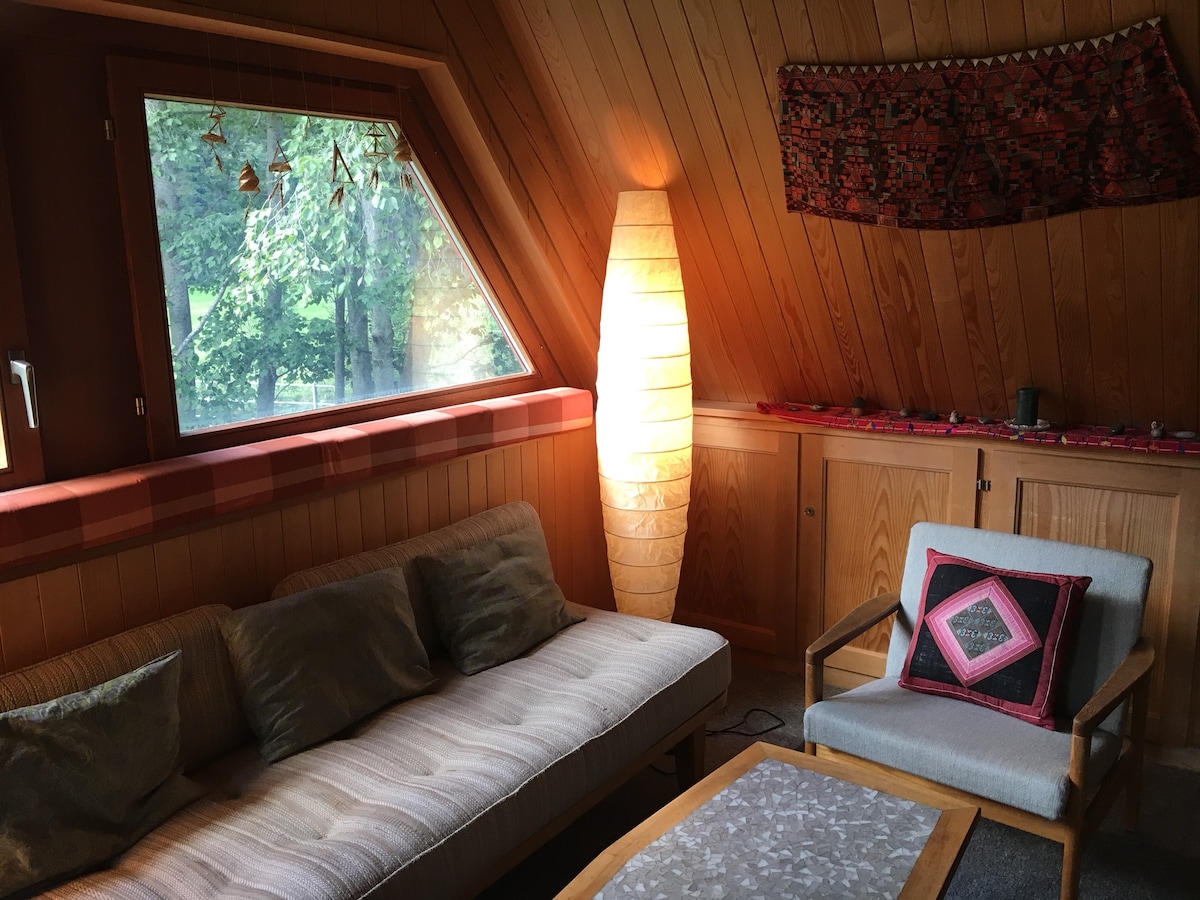 Udoban prostor za sjedenje s tapaciranom grupom i foteljama ispred kamina