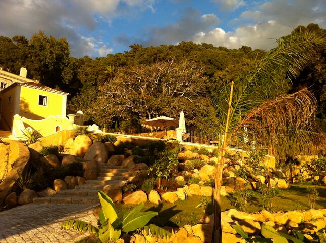 Country villa with fireplace in nature reserve gallery image 5