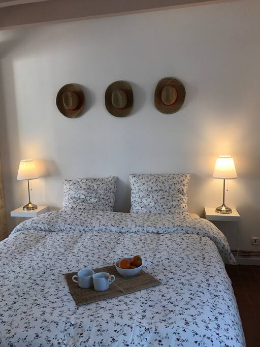 Cette chambre se trouve au rdc le lit est queen seize