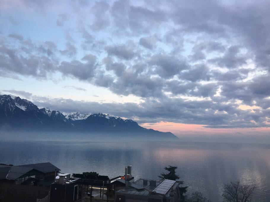 Winter from the window