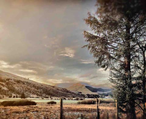 Corlae Cottage, mountain and forest views