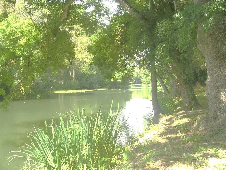 Vue du bord de l'Indre