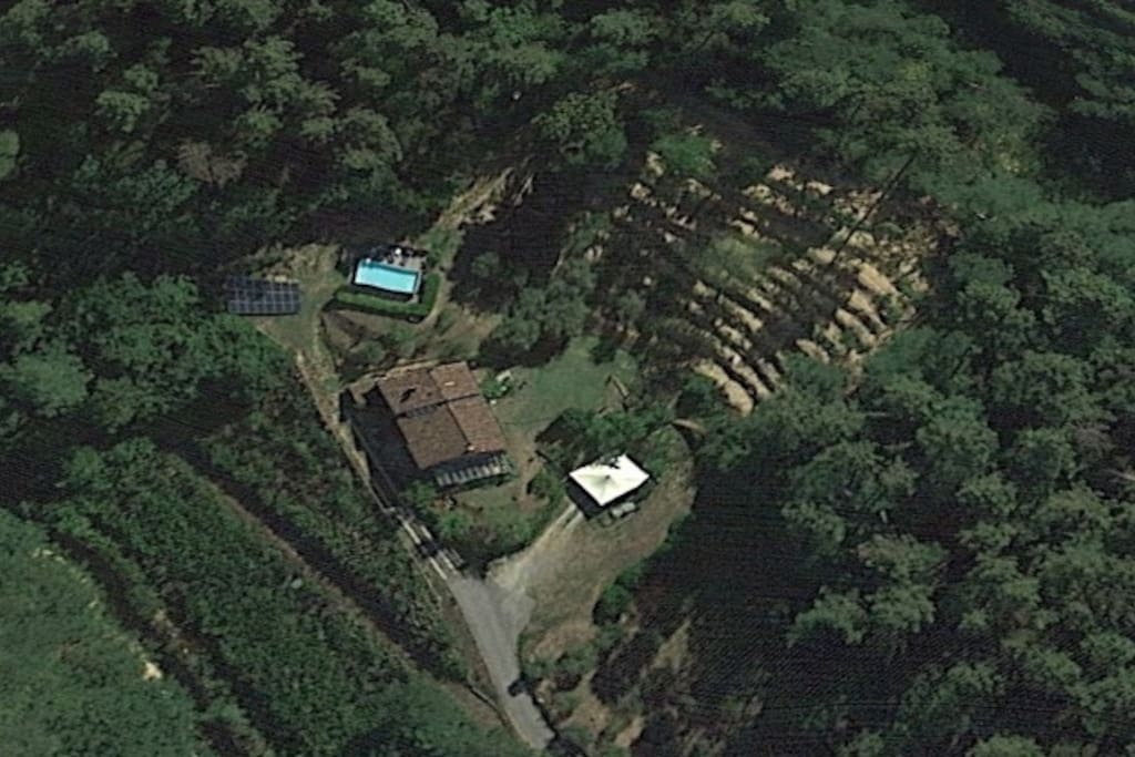 Ecohome in het bos