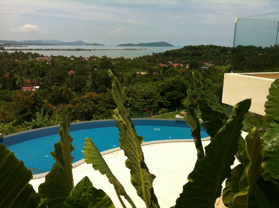 Swimming pool with a view