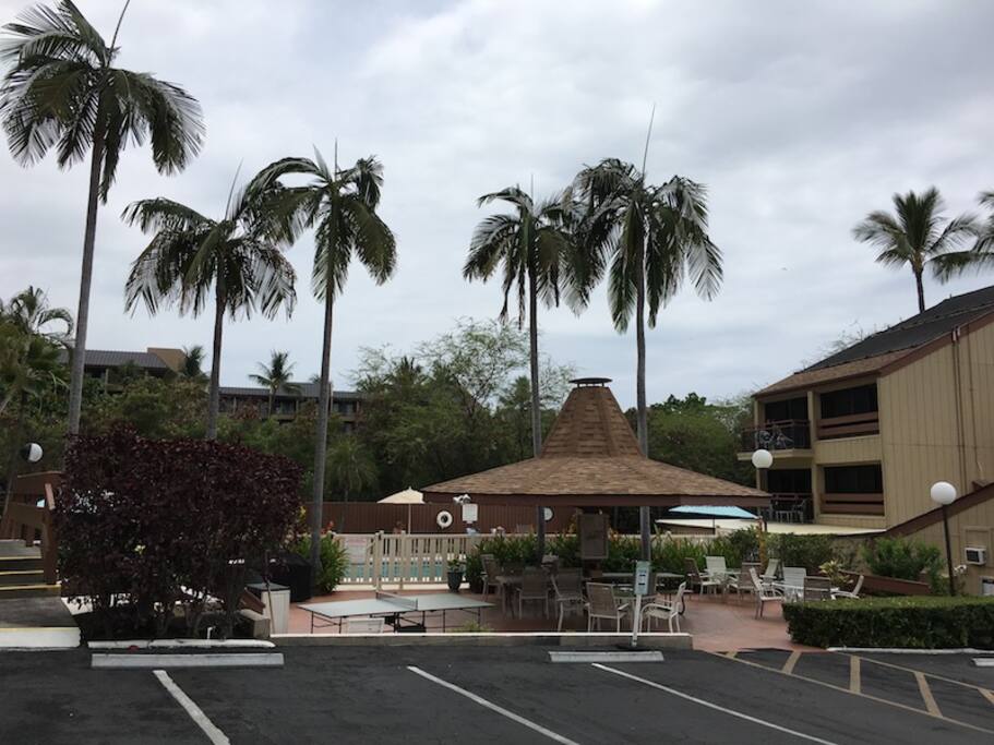 Pool and activity area