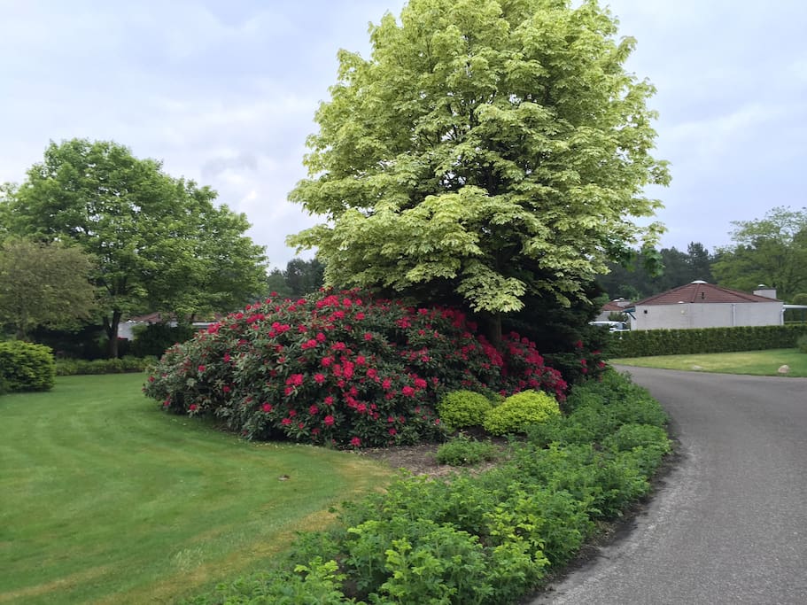 In springtime