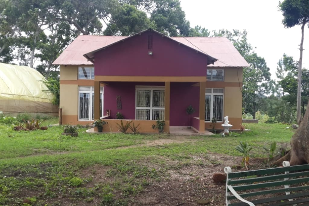 Front View