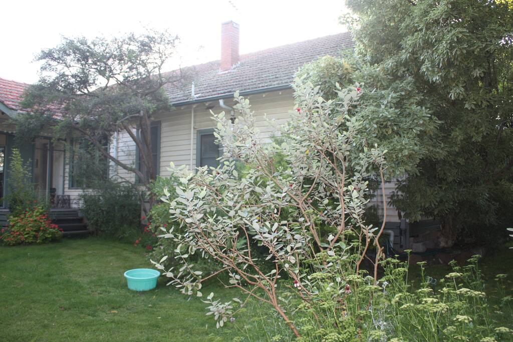 front yard 2