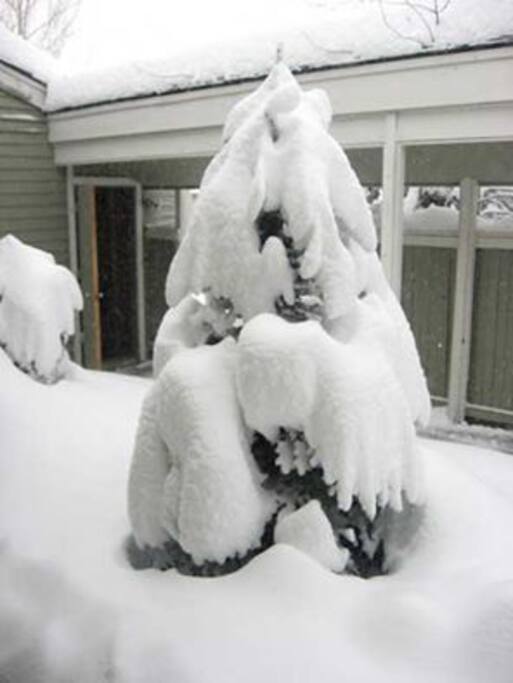 We've got snow.