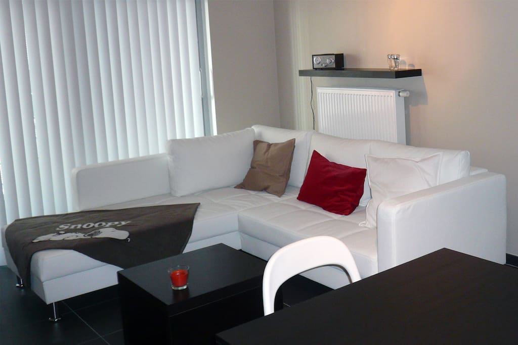 Living room with comfortable couch