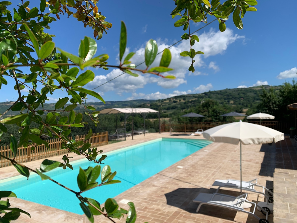 A serene swimming pool is surrounded by sun loungers and umbrellas, with lush green hills visible in the background. The clear blue water reflects the sky, creating a tranquil atmosphere. Decorative foliage partially frames the view, enhancing the natural setting.