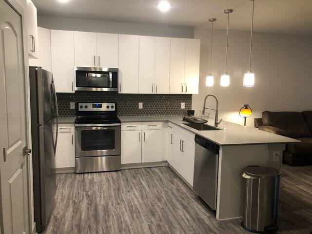 Beautiful 1bd apartment w/balcony & upgraded kitch