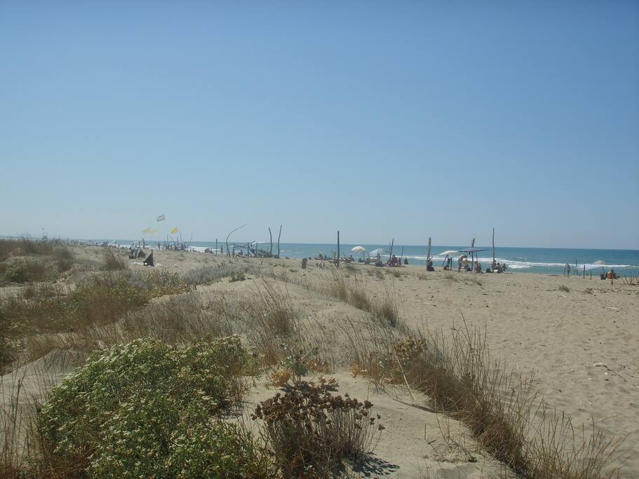 una vista della spiaggia libera