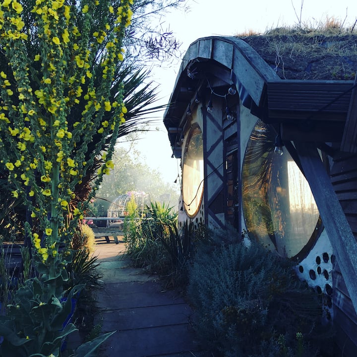 Artists Home with access to The Owl House Huts for Rent in Hightown