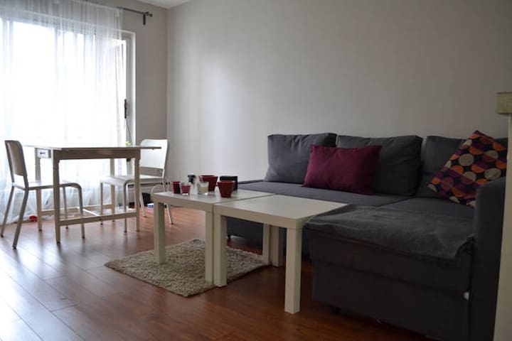 Cosy 3 1/2 Apartment Downtown Montreal