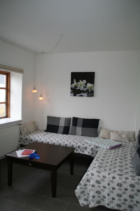 Livingroom. The couch is two comfortable beds <3