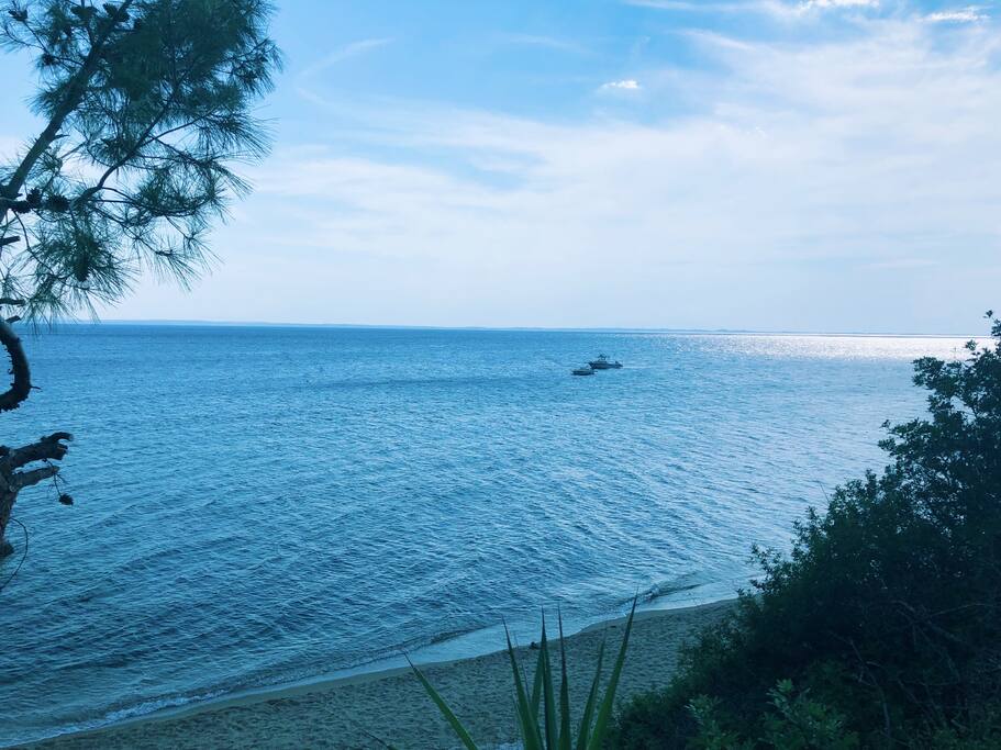 The view of the sea