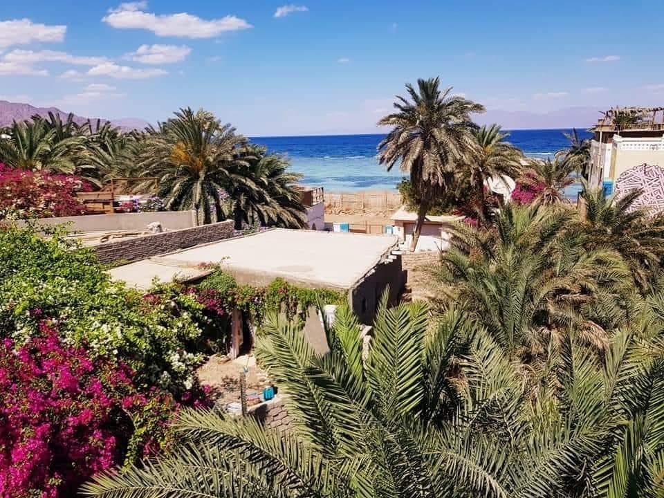 Lush palm trees frame a glimpse of the sea, creating a vibrant atmosphere. Colorful bougainvillea adds to the scenery, while the beach can be seen in the distance. The clear blue water reflects the sky, contributing to the overall coastal ambiance.