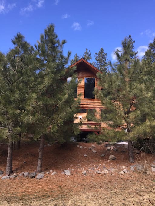 view from front yard of cabin