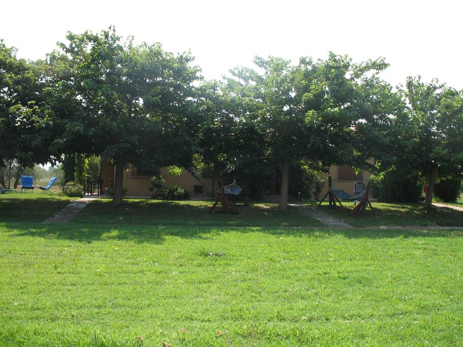 prato davanti alla casa