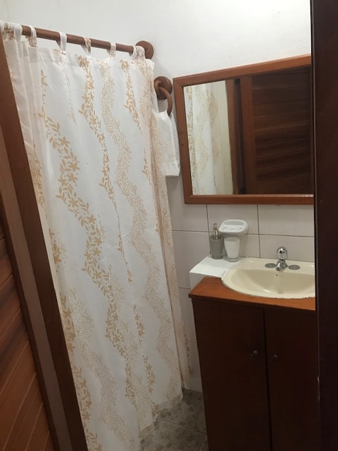 The bathroom features a wooden cabinet with a sink and a mirror above it. A shower area is enclosed by a privacy curtain with a delicate pattern. Basic toiletries are provided on the counter, and the floor is tiled.