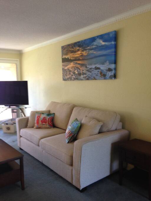 Living room with brand new queen size hideabed