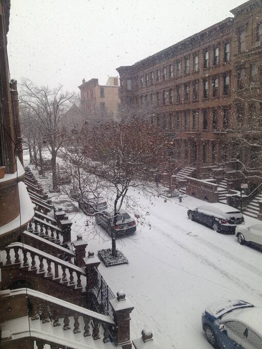 Looking out window -of apartment
