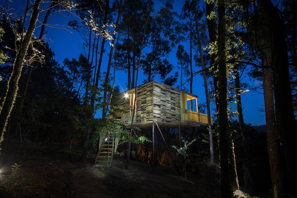 Cabaña en el árbol (Cabaña Albán) - Casas en el árbol en alquiler en