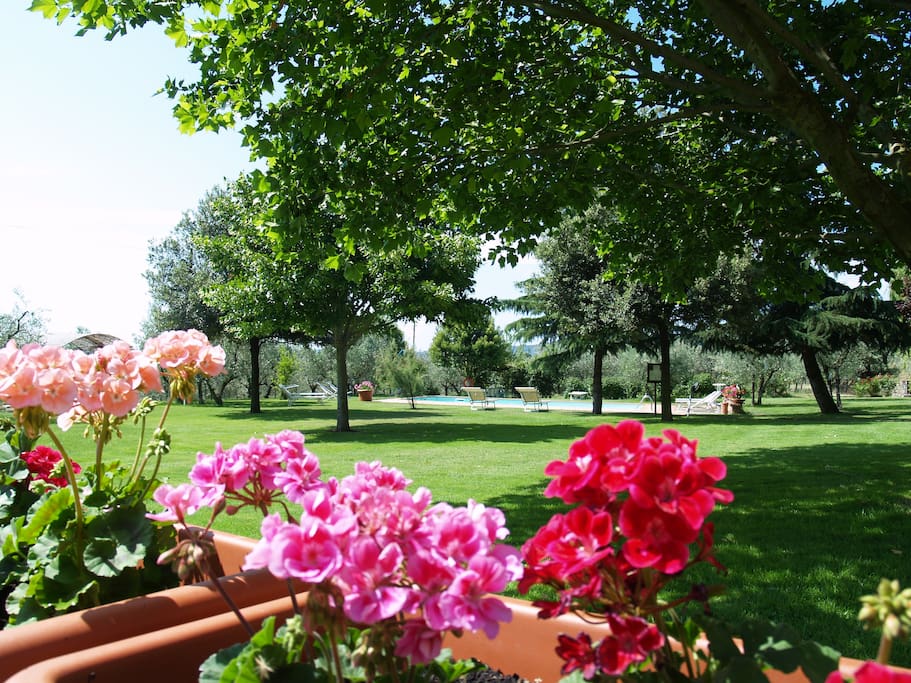 garden