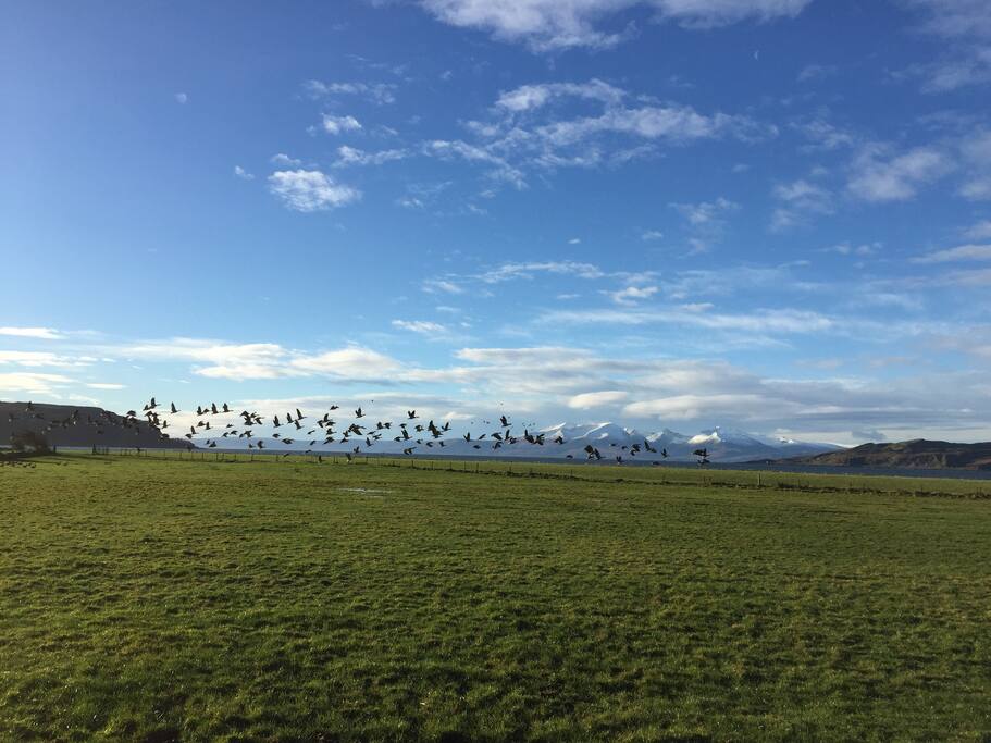 View from both caravans