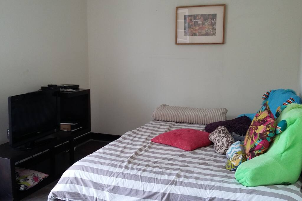TV and Internet wifi access