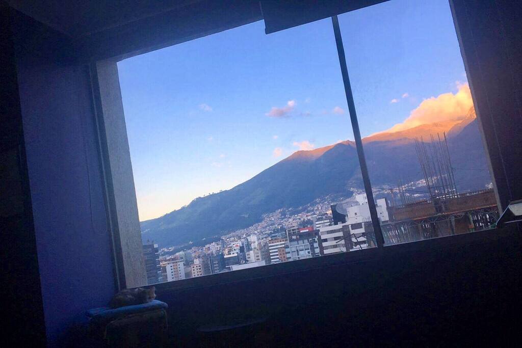 View from bedroom