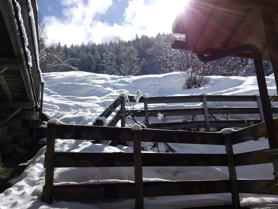 Meadow behind chalet